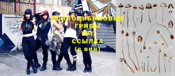 синтетический гашиш Тавда