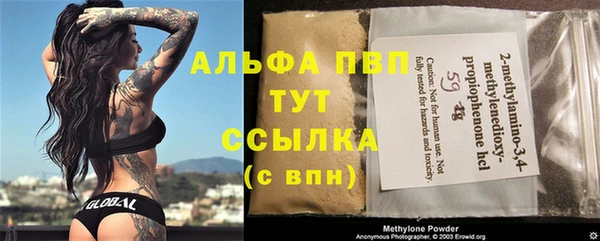 хмурый Тайга