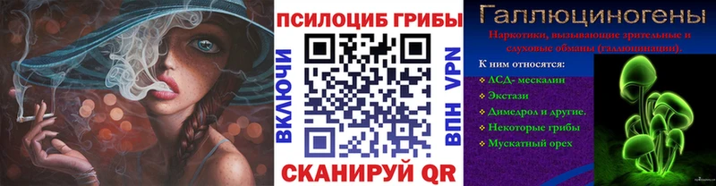 Галлюциногенные грибы Psilocybine cubensis  Купить  Шлиссельбург 